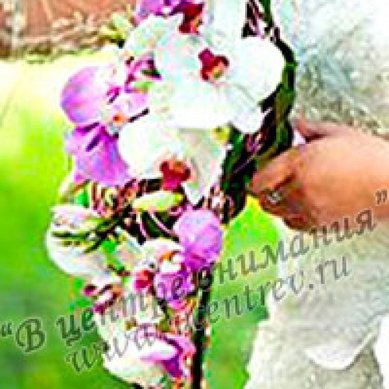 Букет В5503 - Интернет-студия цветов и подарков В центре внимания