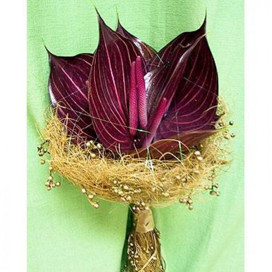 Букет A8371 - Салон цветов Angel Grace